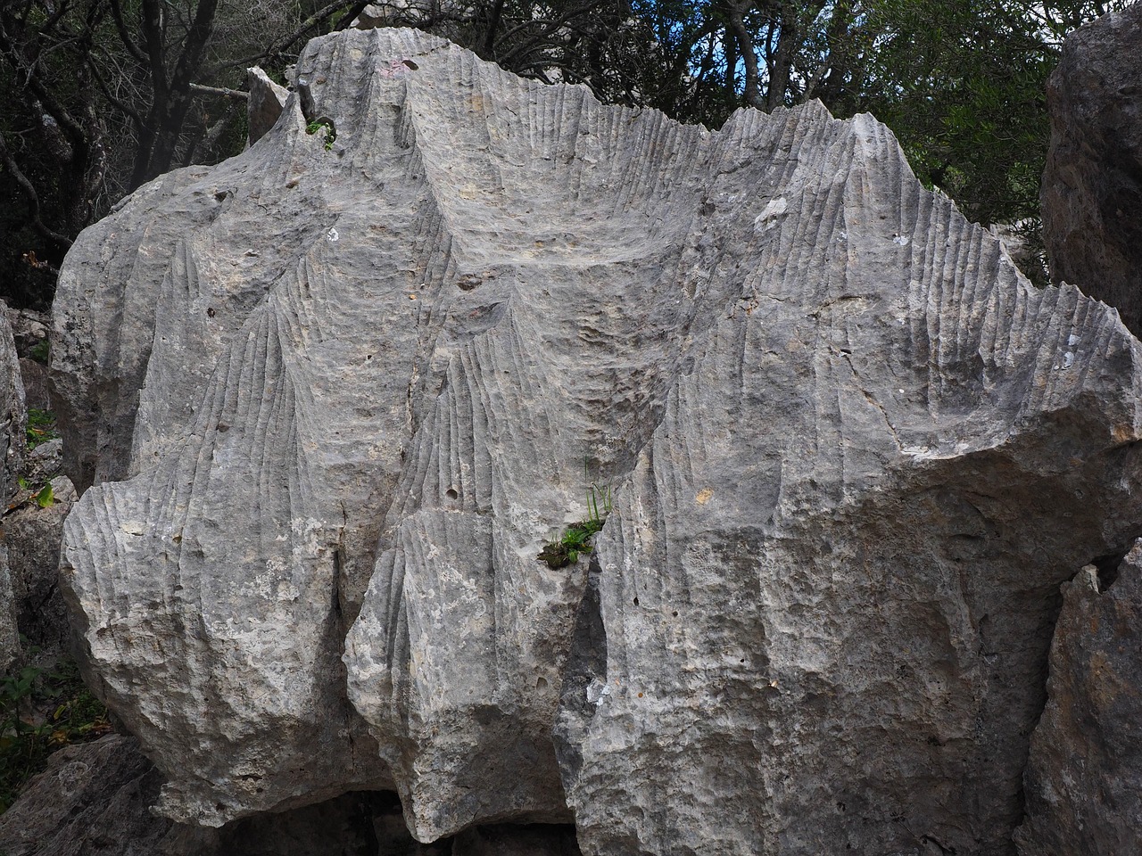Surface Adventures for Cave Lovers: Karst Landscapes, Sinkholes, and Springs